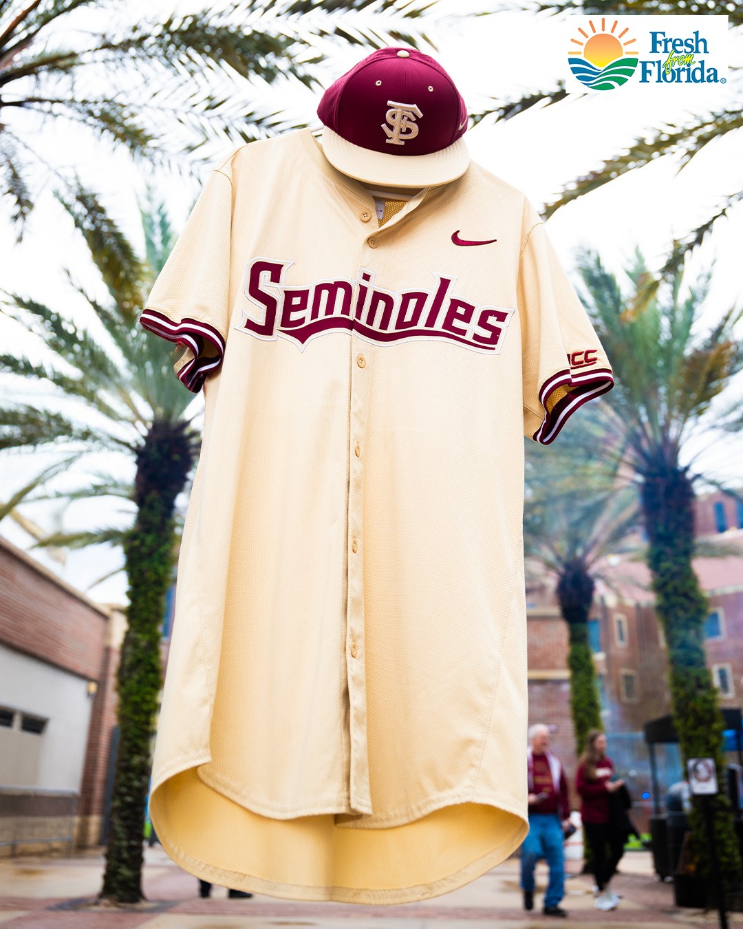 Florida State Seminoles NCAA Mini Decal / Sticker Pack – Team ProMark