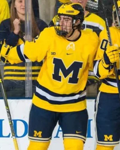 Michigan Wolverines 2017-18 Ketiga